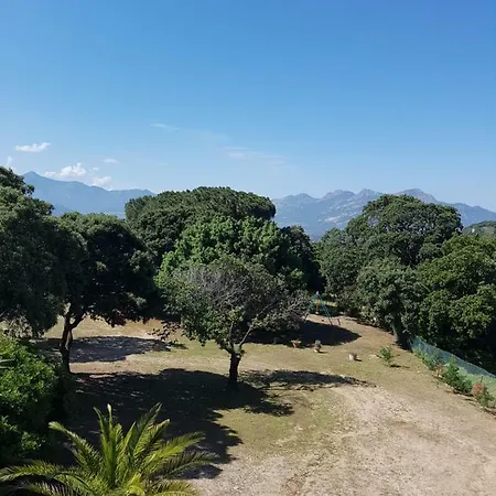 Casa Prescilia * Lumio (Corsica)