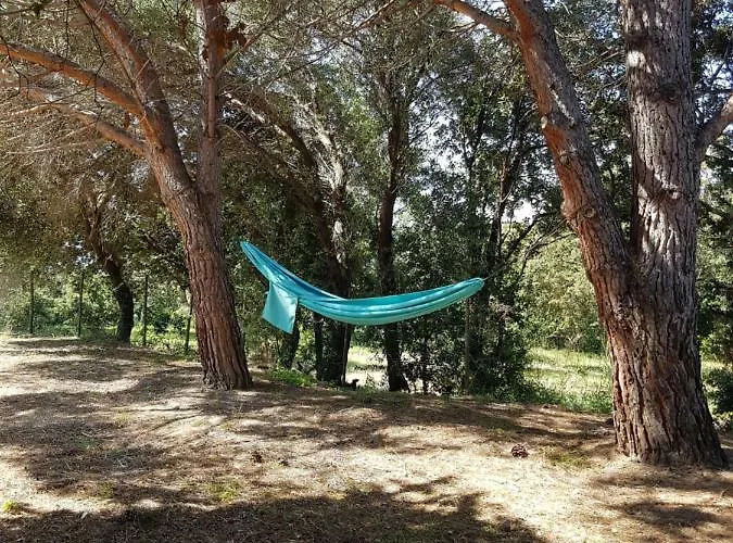 Appartement Casa Prescilia *