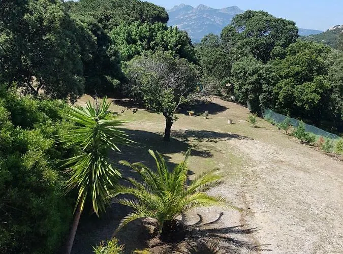 公寓 Casa Prescilia *